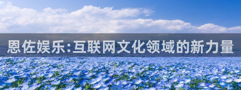庄闲和游戏官网：恩佐娱乐:互联网文化领域的新力量