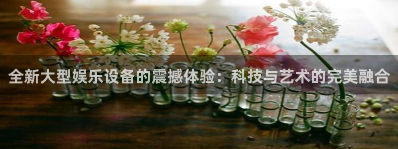 庄闲和游戏官网：全新大型娱乐设备的震撼体验：科技与艺术的完美融合