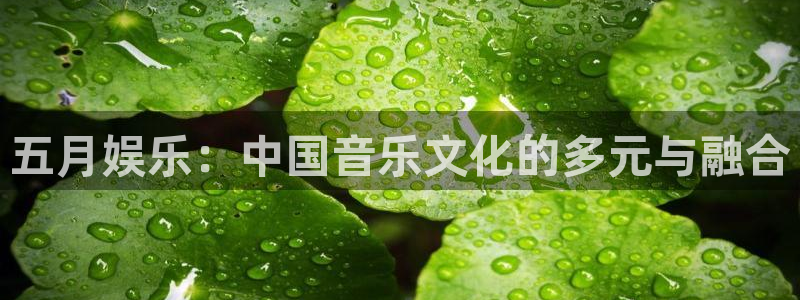 庄闲和游戏官网：五月娱乐：中国音乐文化的多元与融合