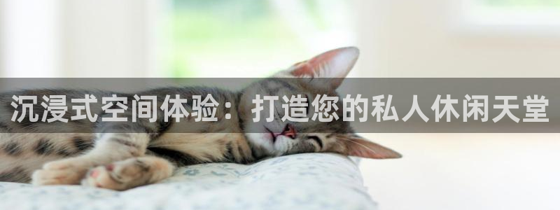 庄闲和游戏官网：沉浸式空间体验：打造您的私人休闲天堂