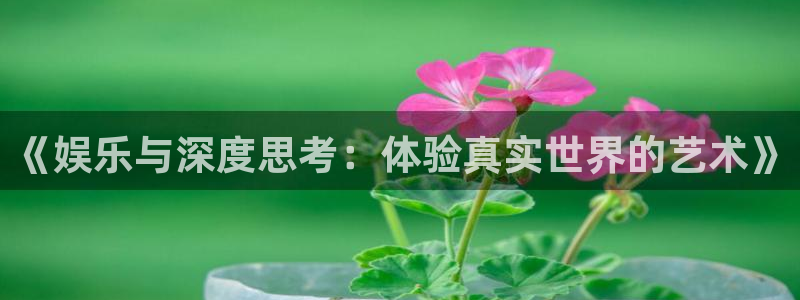 庄闲和游戏官网：《娱乐与深度思考：体验真实世界的艺术》